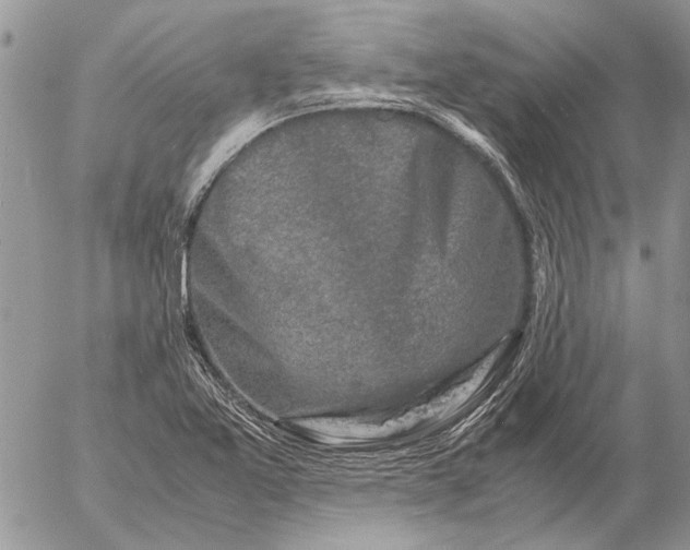 X0000057081365200509231613