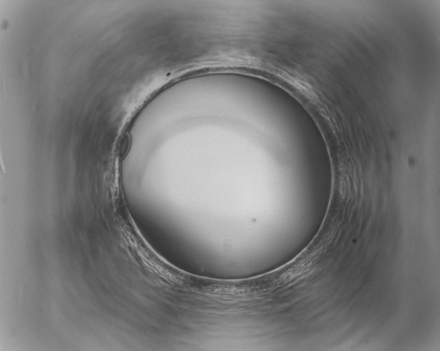 X0000057081366200509231613