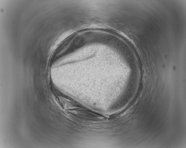 X0000057081367200509231613