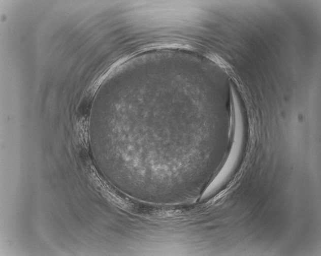 X0000057081369200509231613