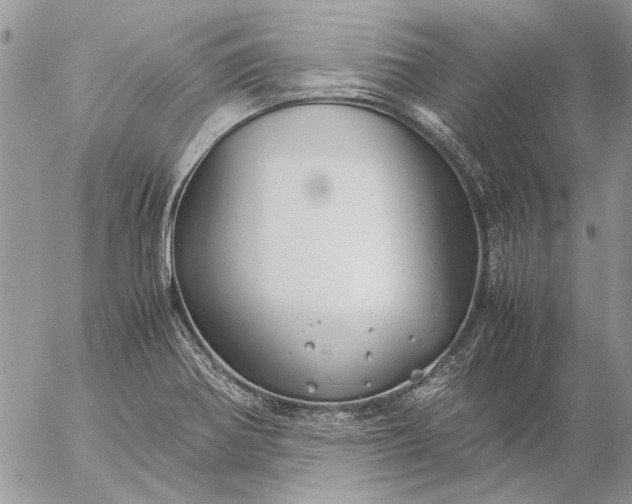 X0000057081370200509231613