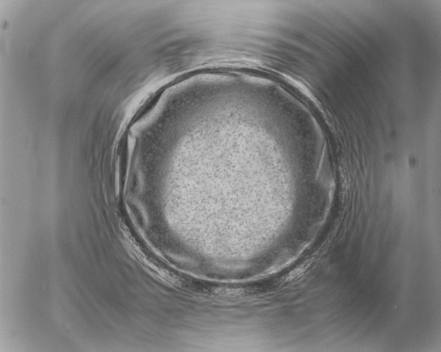 X0000057081371200509231613