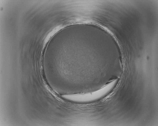 X0000057081373200509231613