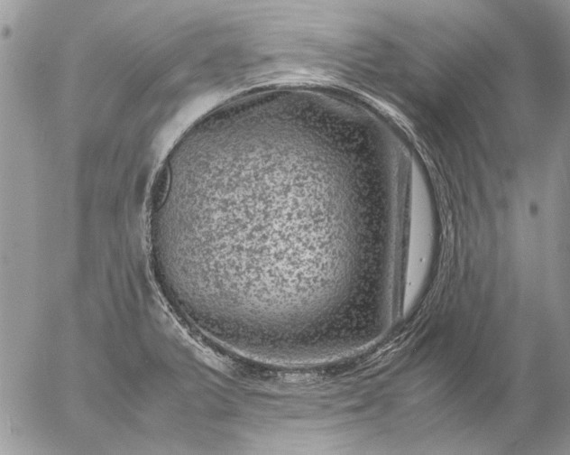 X0000057081375200509231613