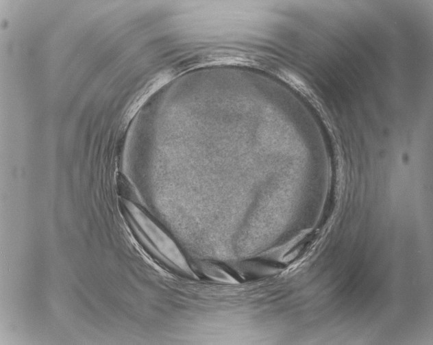 X0000057081377200509231613