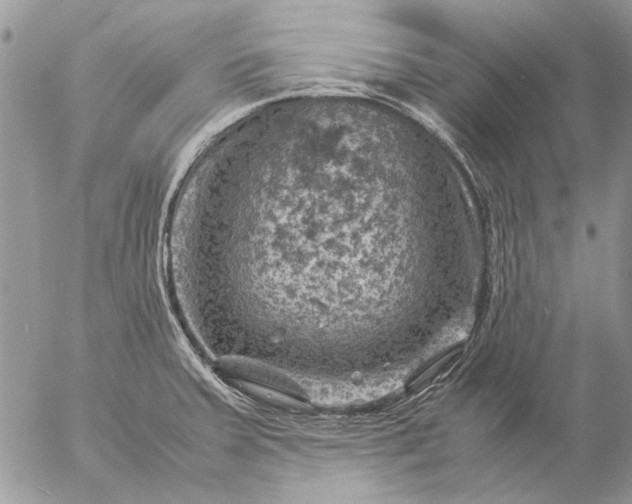 X0000057081379200509231613