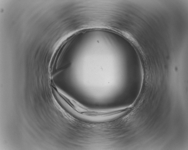 X0000057081380200509231613