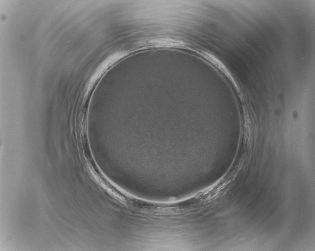 X0000057081381200509231613