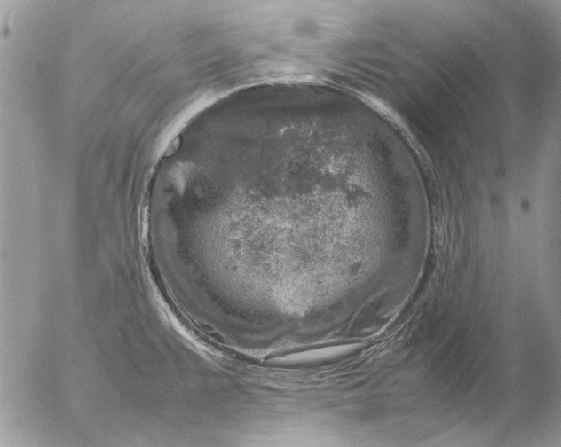 X0000057081383200509231612