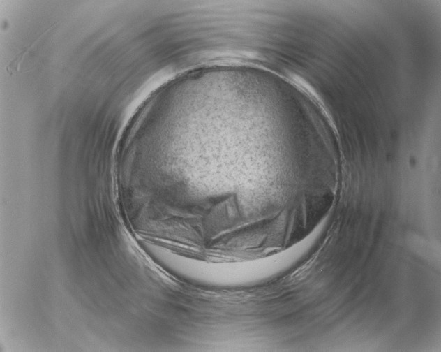 X0000057081384200509231612