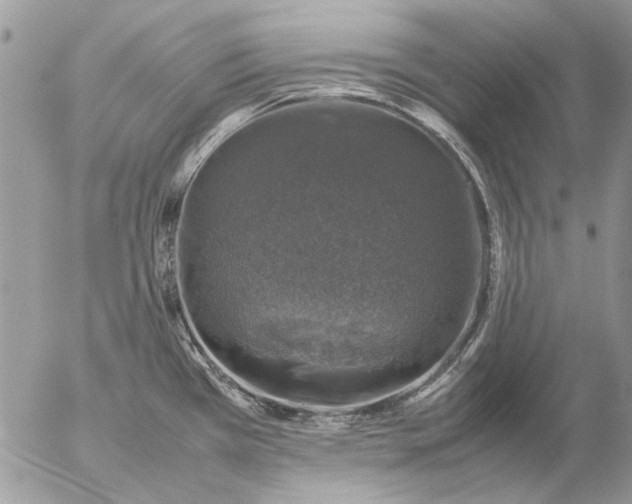 X0000057081385200509231612