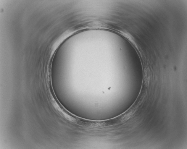 X0000057081387200509231612