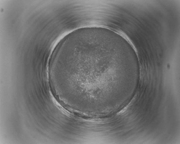 X0000057081388200509231612