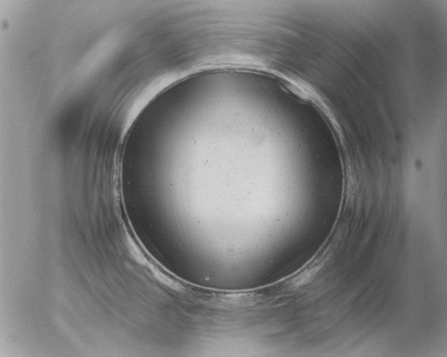 X0000057081390200509231612