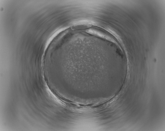 X0000057081392200509231612