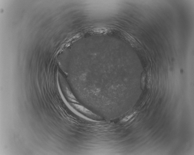 X0000057081394200509231612