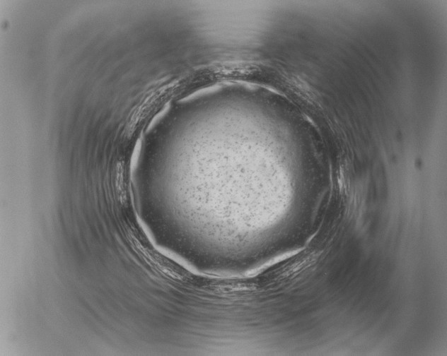 X0000057081396200509231612