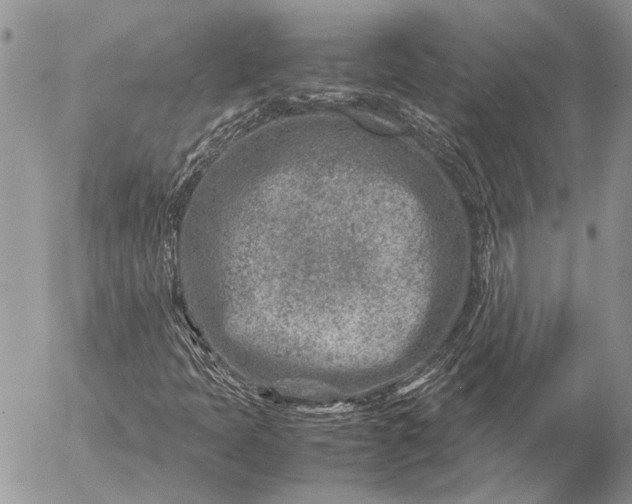 X0000057081397200509231612