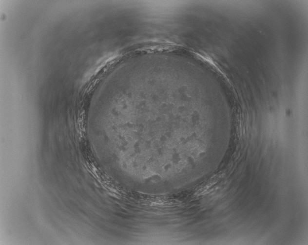 X0000057081399200509231612