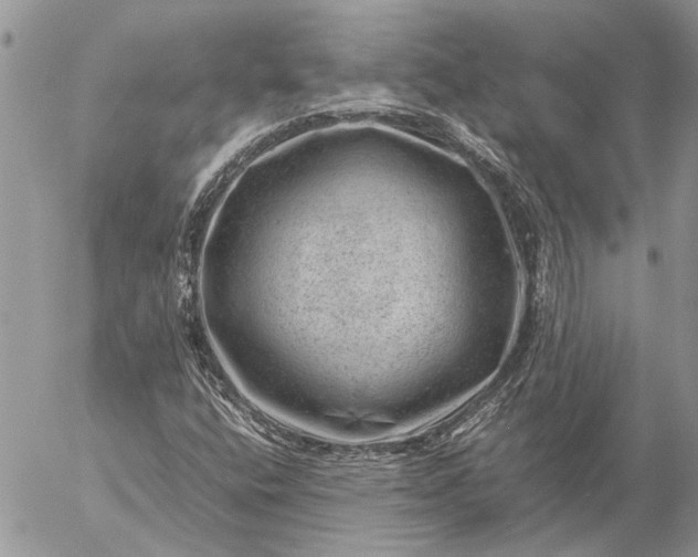 X0000057081400200509231612