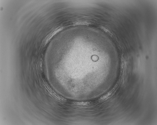 X0000057081401200509231612