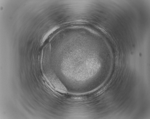 X0000057081402200509231612