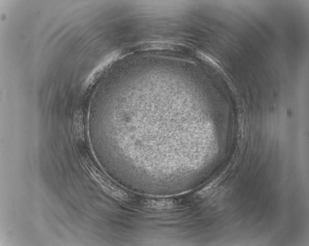 X0000057081403200509231612