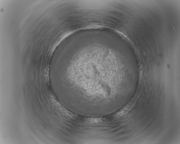 X0000057081409200509231612