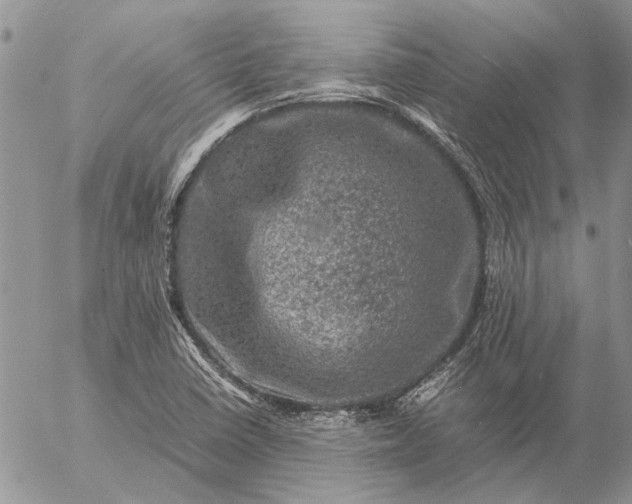 X0000057081410200509231612