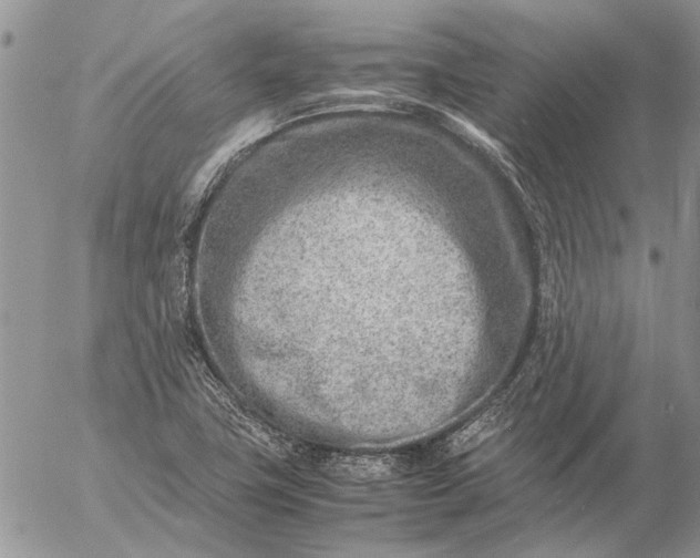 X0000057081411200509231612