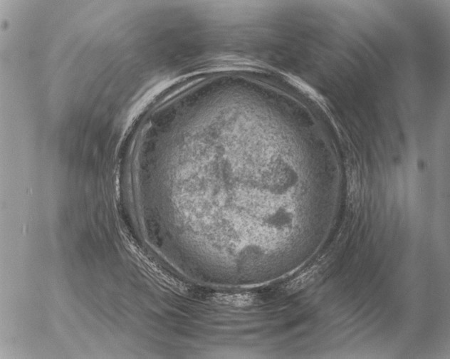 X0000057081415200509231612