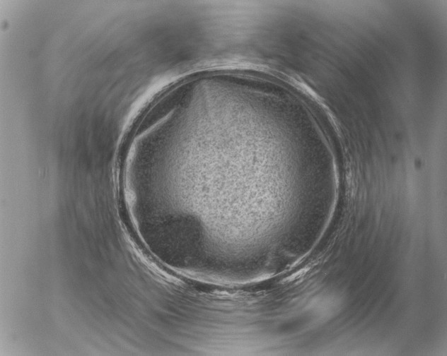 X0000057081416200509231612