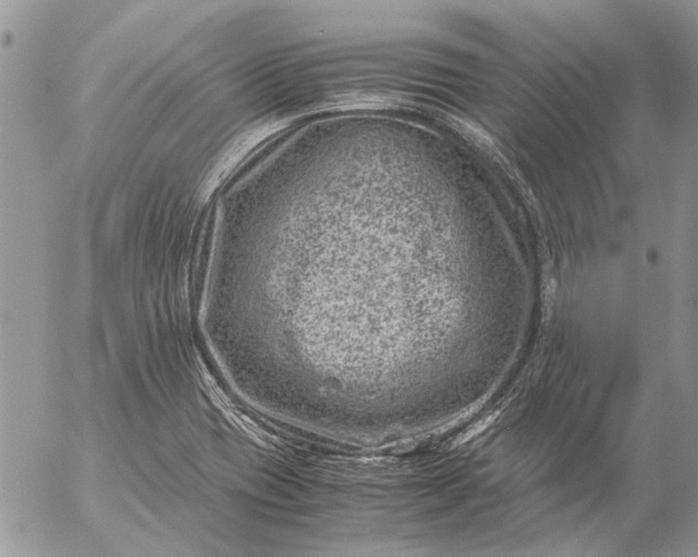 X0000057081417200509231612