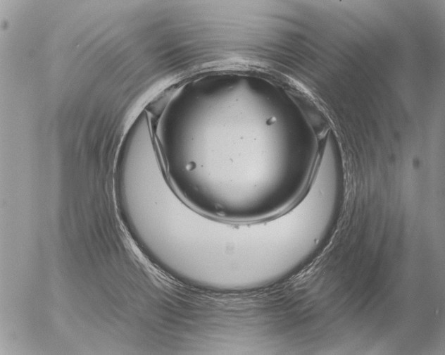 X0000057081418200509231612