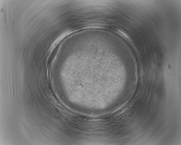 X0000057081419200509231612