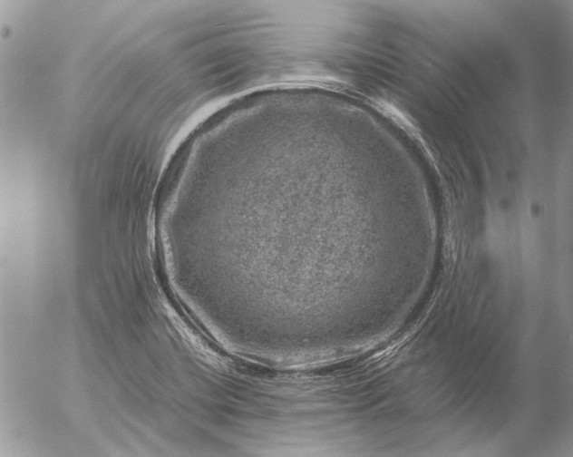 X0000057081420200509231612