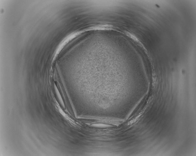 X0000057081421200509231612