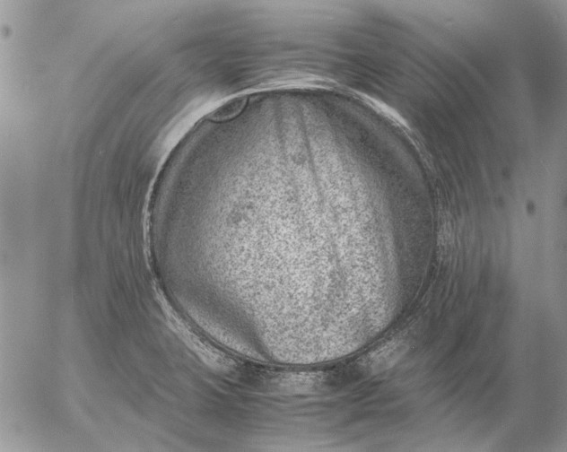 X0000057081423200509231612