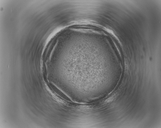 X0000057081424200509231612