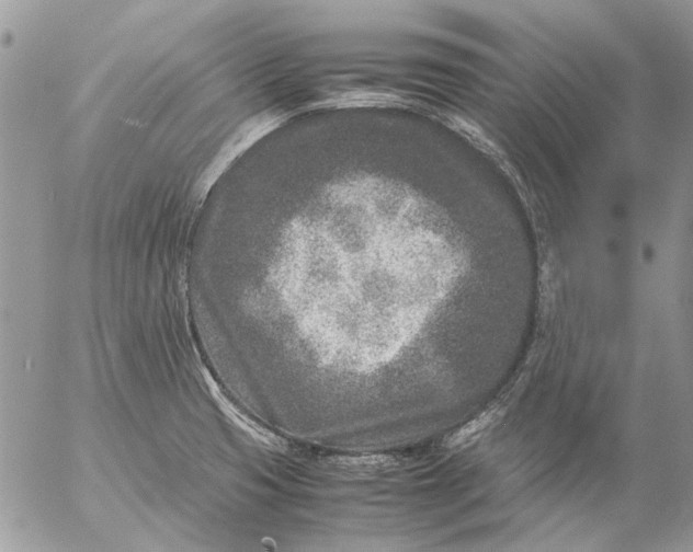 X0000057081425200509231612