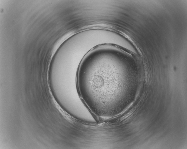 X0000057081426200509231612