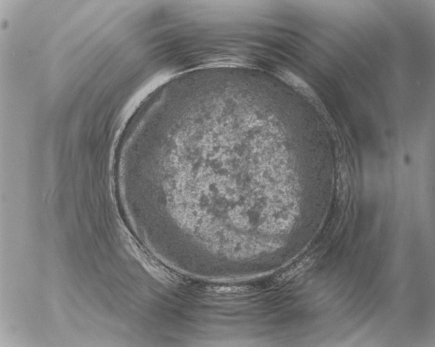 X0000057081427200509231612