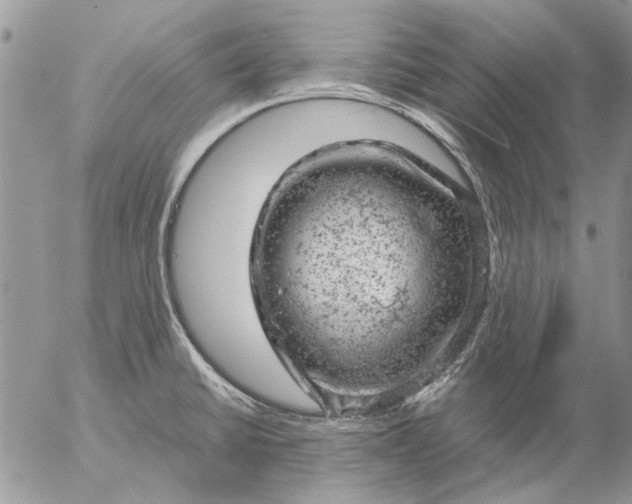 X0000057081430200509231612