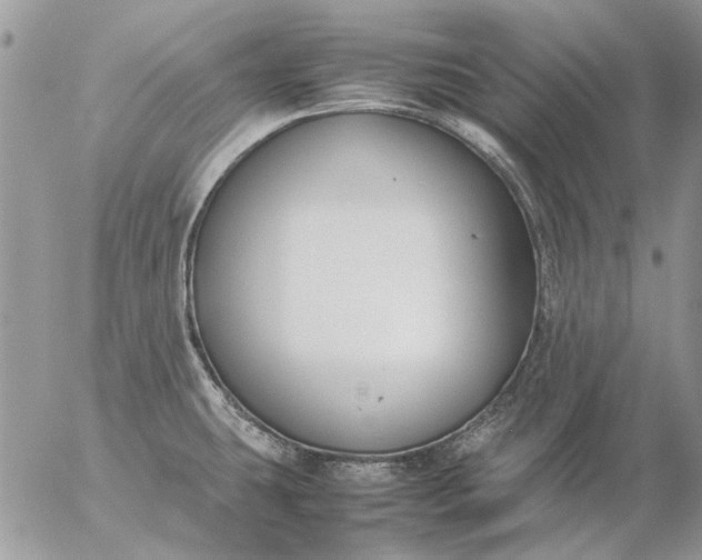 X0000057081431200509231612