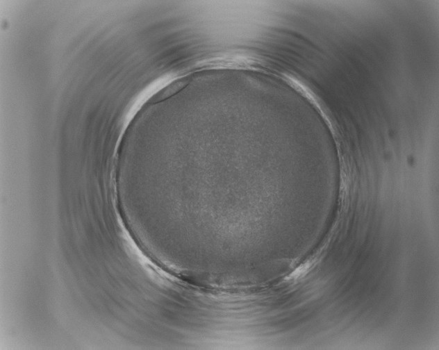 X0000057081434200509231612