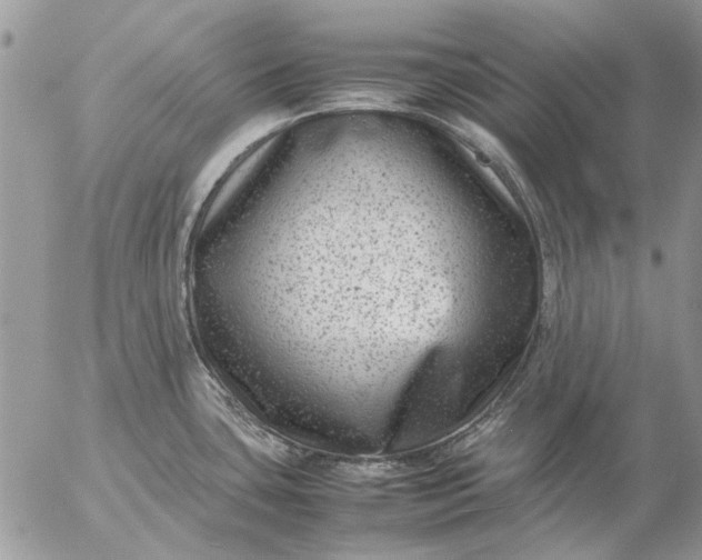 X0000057081435200509231612