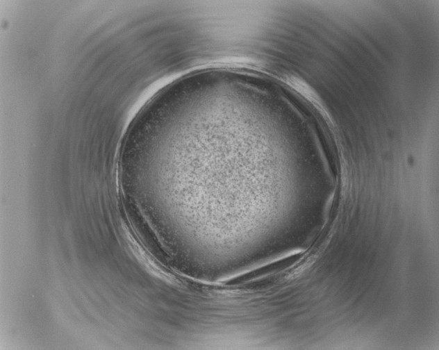 X0000057081436200509231612