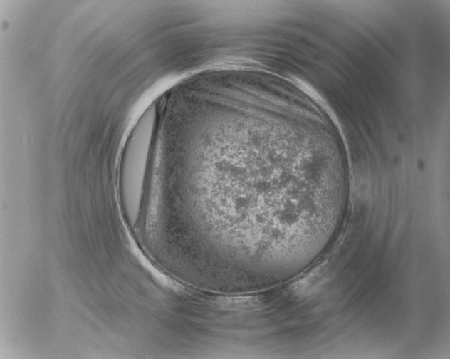 X0000057081437200509231612