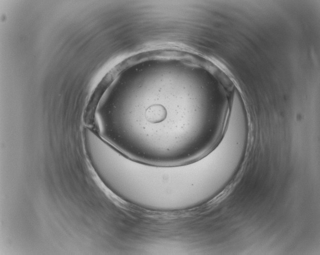 X0000057081438200509231612