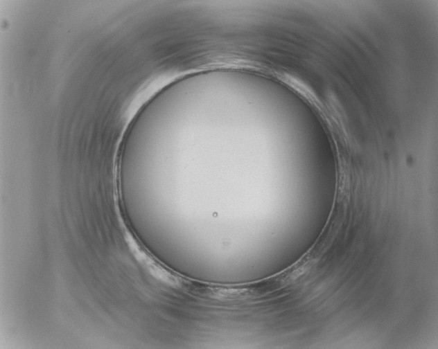 X0000057081439200509231612